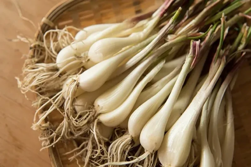 락교 칼로리