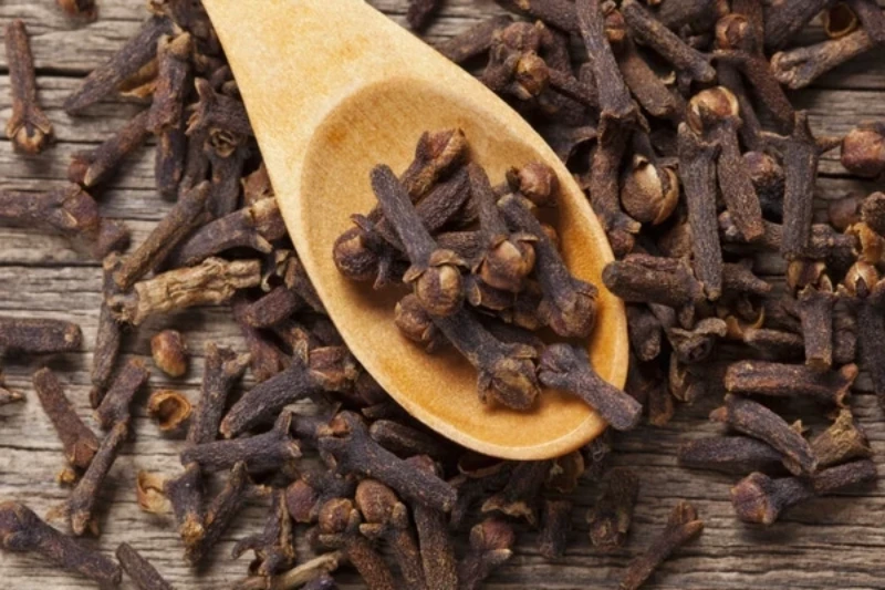 정향 부작용