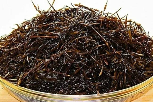 톳 효능과 부작용