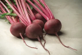 레드비트 효능, 부작용, 하루 권장량