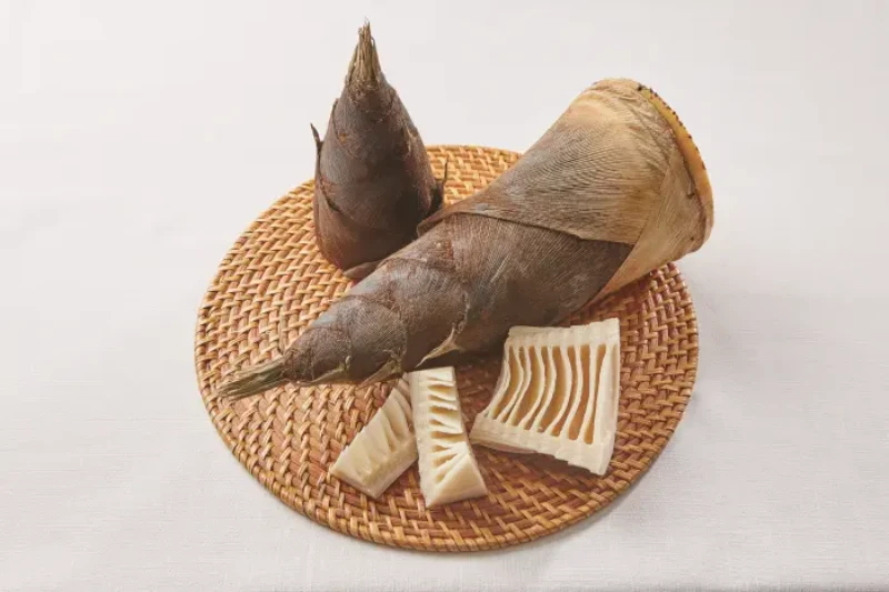 죽순 효능