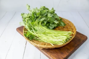 참나물 효능, 제철, 부작용