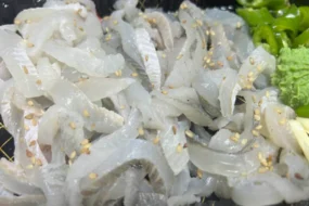 도다리 제철, 효능, 칼로리, 광어와 차이