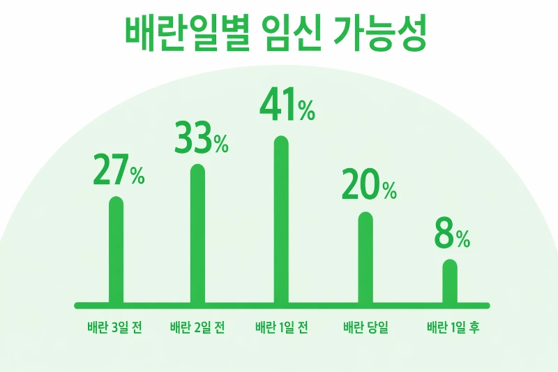 배란일별 임신 가능성 그래프